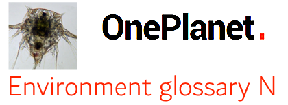 OnePlanet Environmental English logo